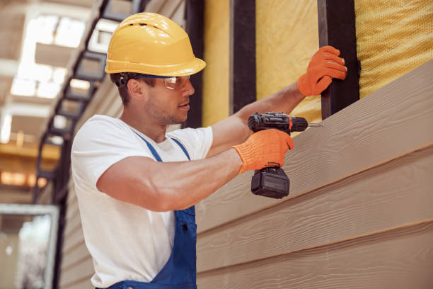 Best Stone Veneer Siding  in Hunter, TN